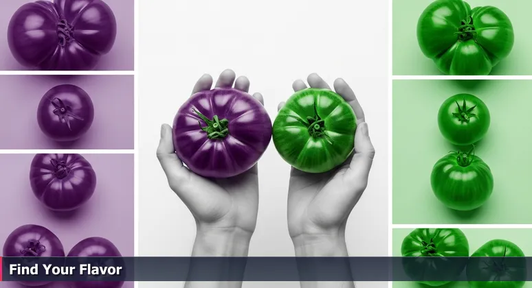 A person's hands comparing a purple Cherokee tomato and a green Zebra tomato at a bustling McAllen farmers' market, representing the choice between tech startups.