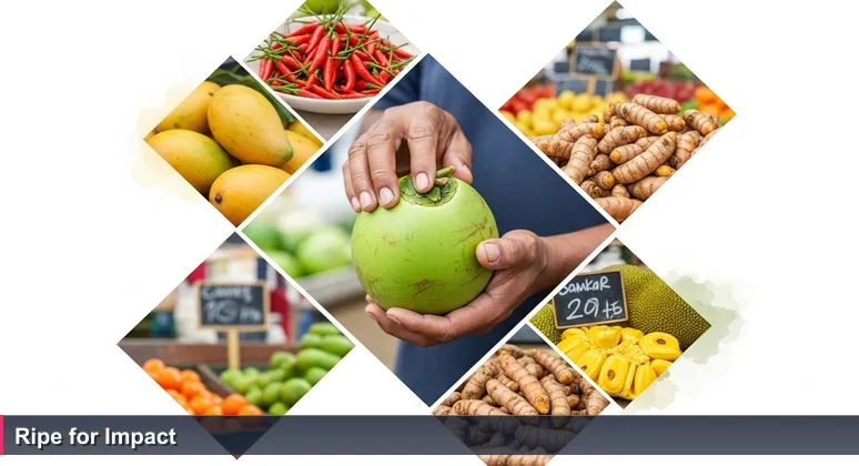 Expert hands pressing a green coconut at Suva Market, symbolizing the discernment needed to choose the best AI engineering careers in Fiji.