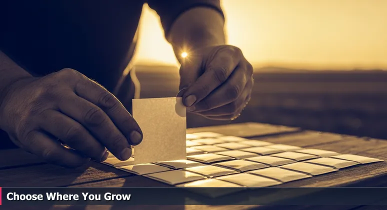 Weathered hands of a farmer selecting seed packets at Lubbock Farmers' Market, symbolizing the choice of tech workspace ecosystem for growth.